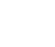 山东星图信息科技有限公司 | XMapping Tech Ltd